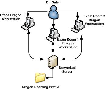 Dragon Roaming Profiles Diagram.jpg